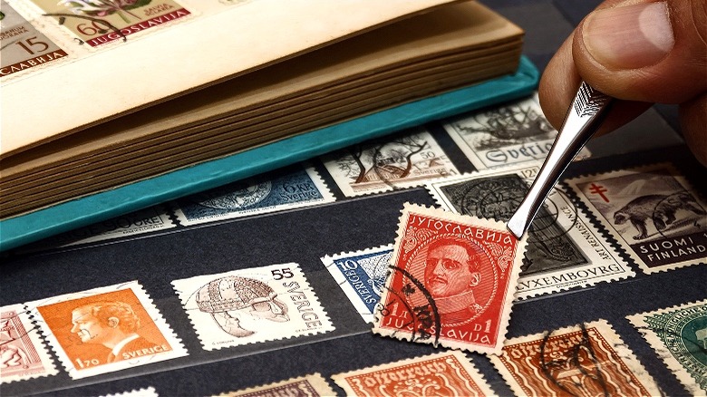 Collector places stamp in album