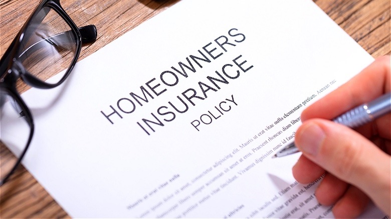 Person reviewing homeowners insurance policy