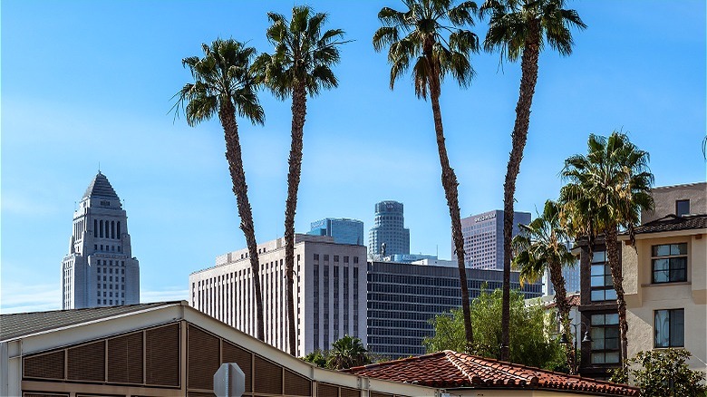 Downtown Los Angeles skyline