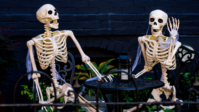 skeletons sitting at a table