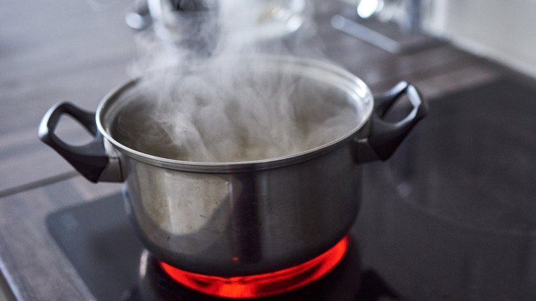 water boiling in an open pot on the stove