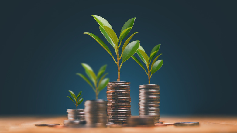 coin stacks with plants growing out of tops