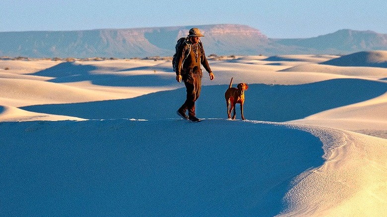 Man and dog hike the white sand dunes in White Sands National Park, New Mexico.