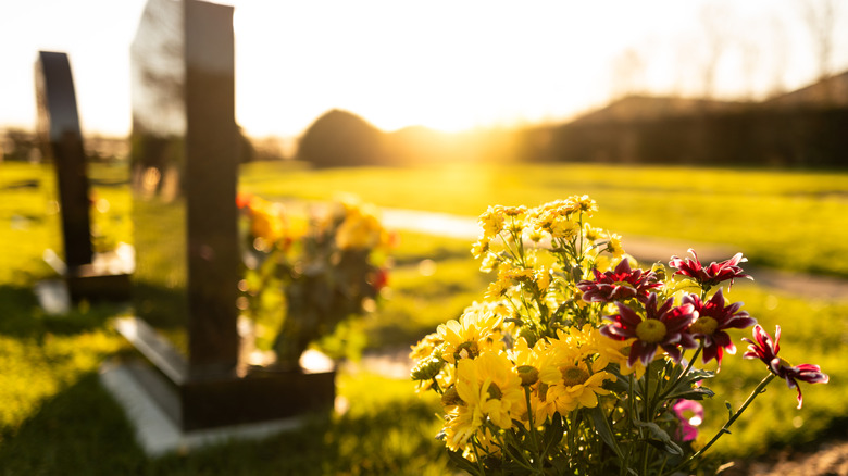 A scene from a cemetery with tombstones and flowers in the foreground and sunset in the background.