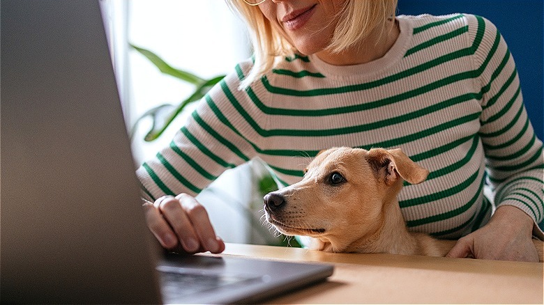 Person and dog on laptop