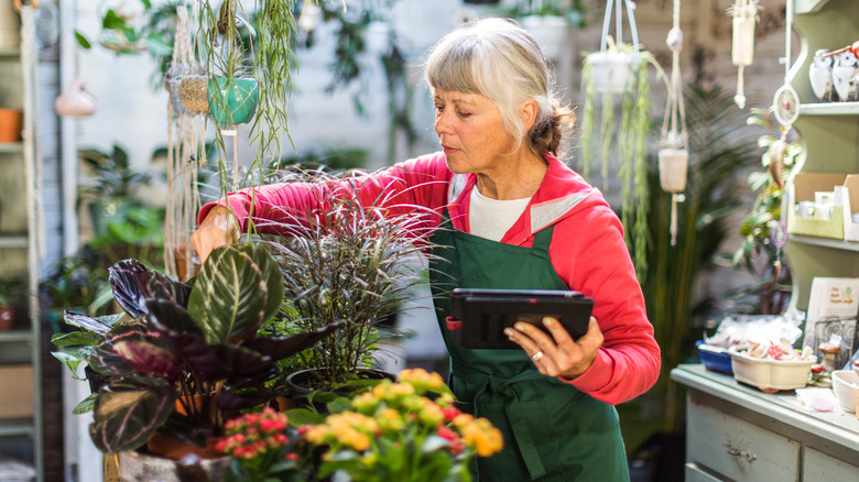 An elderly florist tending to flowers while taking inventory