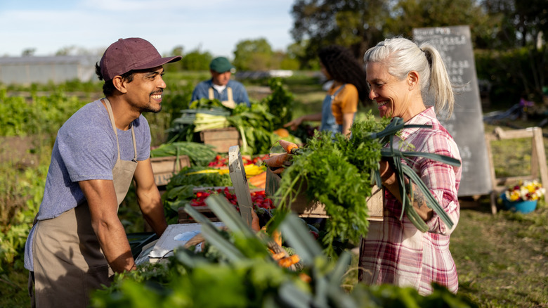 Happy female customer talking to a farmer while shopping for vegetables at a Farmer's Market