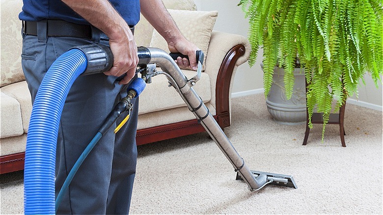 Person cleaning a carpet