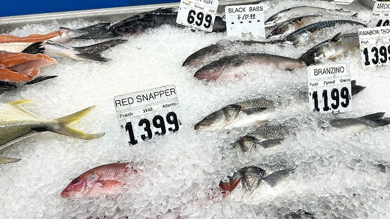 Fresh seafood on ice for sale