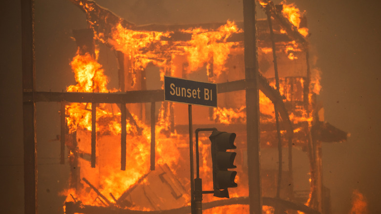 Building on fire behind Sunset Blvd. street sign