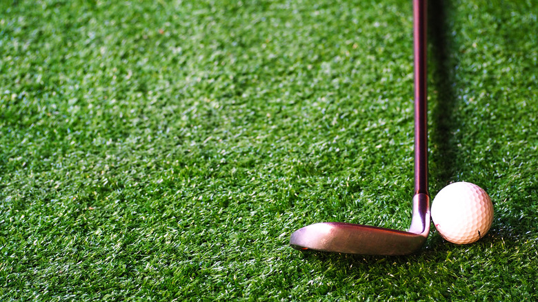 A golf ball and shaft wood on the lawn