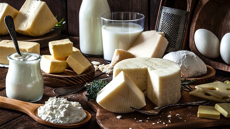 Assorted dairy products displayed