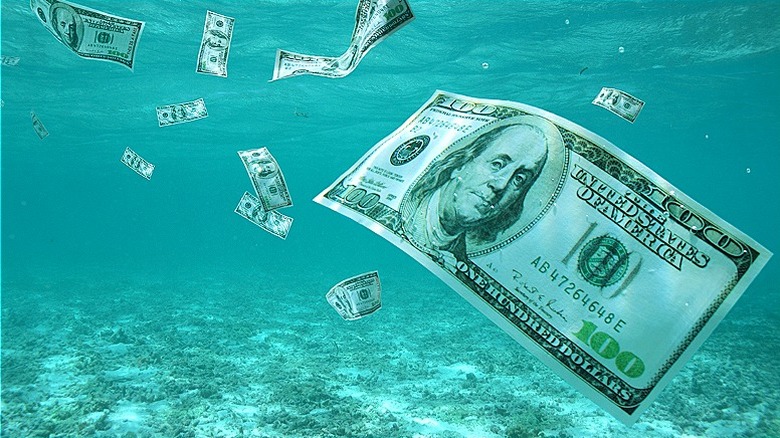 $100 bills seen floating underwater above sea floor