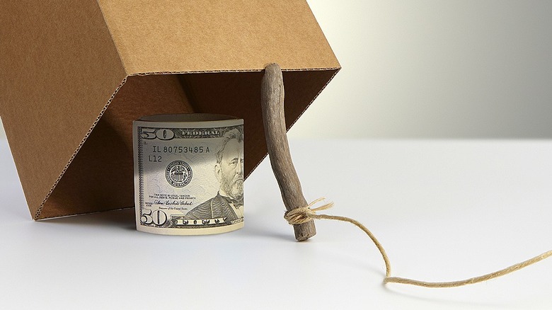 $50 under a trap box made of a cardboard box, a stick, and twine